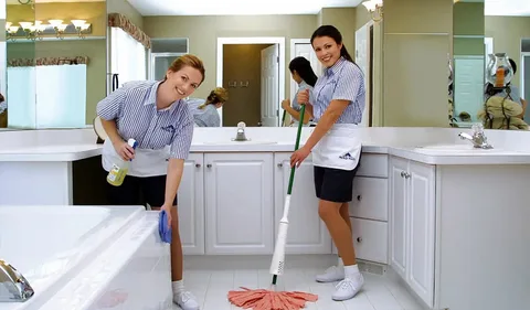 Professional Cleaners Sydney