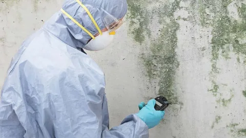 Mould Cleaning Sydney